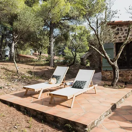 Gite De Charme En Pleine Foret - Mas Sarava Holiday home