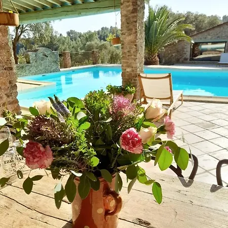 Gite De Charme En Pleine Foret - Mas Sarava Holiday home *