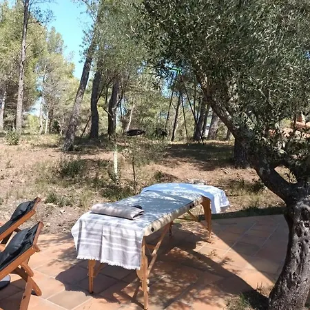 Gite De Charme En Pleine Foret - Mas Sarava *